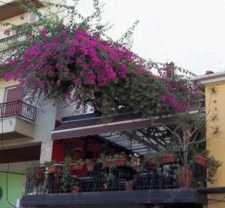 Βεράντα με μπουκαμβίλια