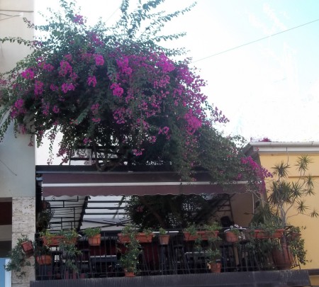 Βεράντα με μπουκαμβίλια